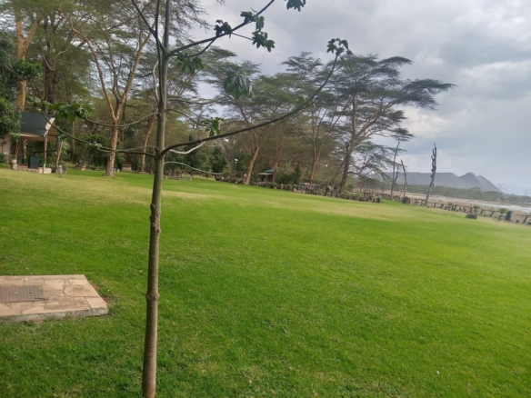 Prime 2-acre land Lake Elementeita adjacent to Inka Gardens for sale