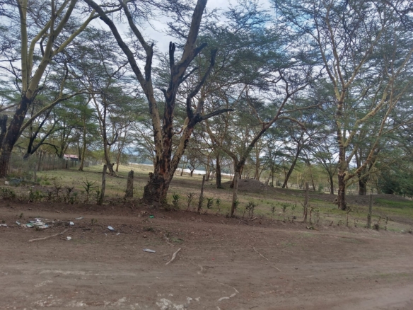 Prime 2-acre land Lake Elementeita adjacent to Inka Gardens for sale