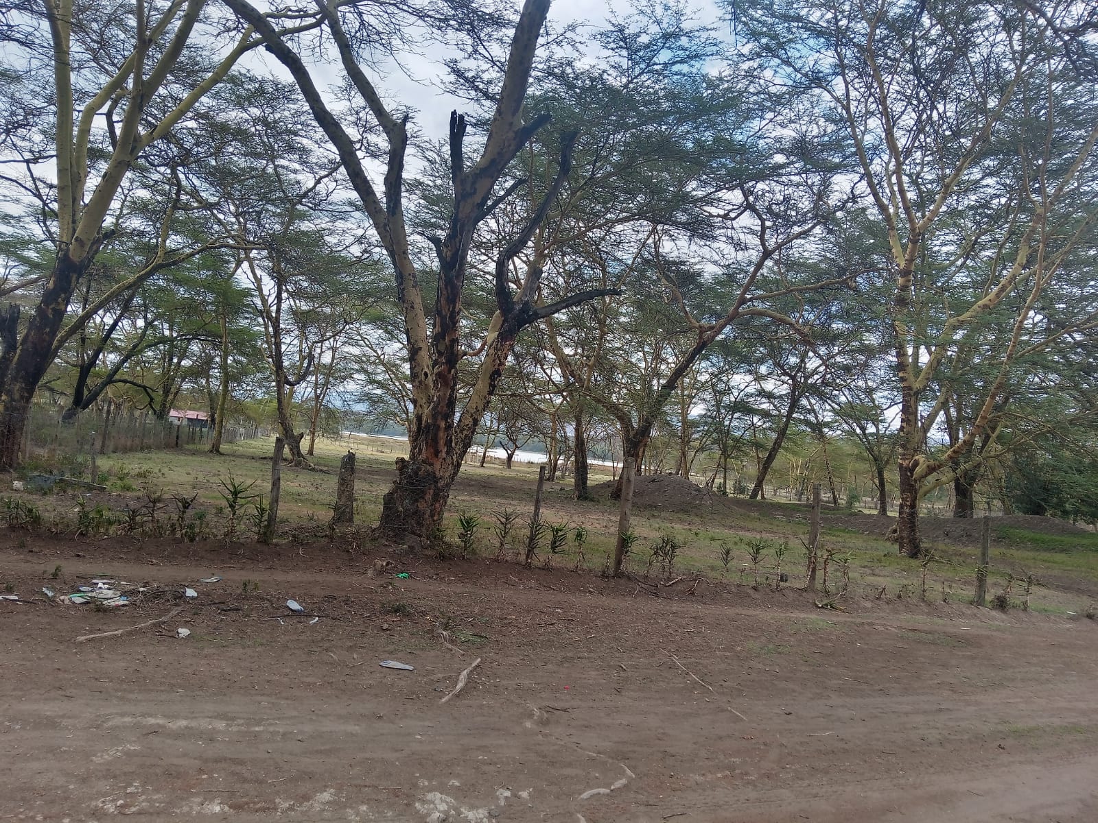 Prime 2-acre land Lake Elementeita adjacent to Inka Gardens for sale