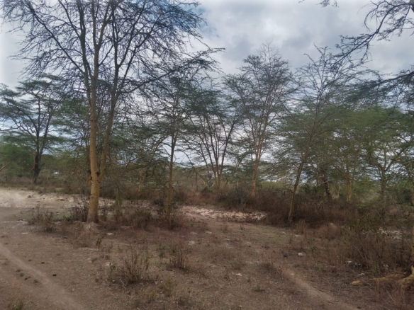 Prime 2-acre land Lake Elementeita adjacent to Inka Gardens for sale