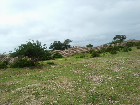 1-25m-for-salein-casuarina