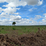 400-acres-for-sale-in-kisiki-malindi
