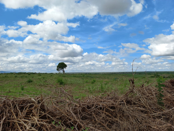 400-acres-for-sale-in-kisiki-malindi