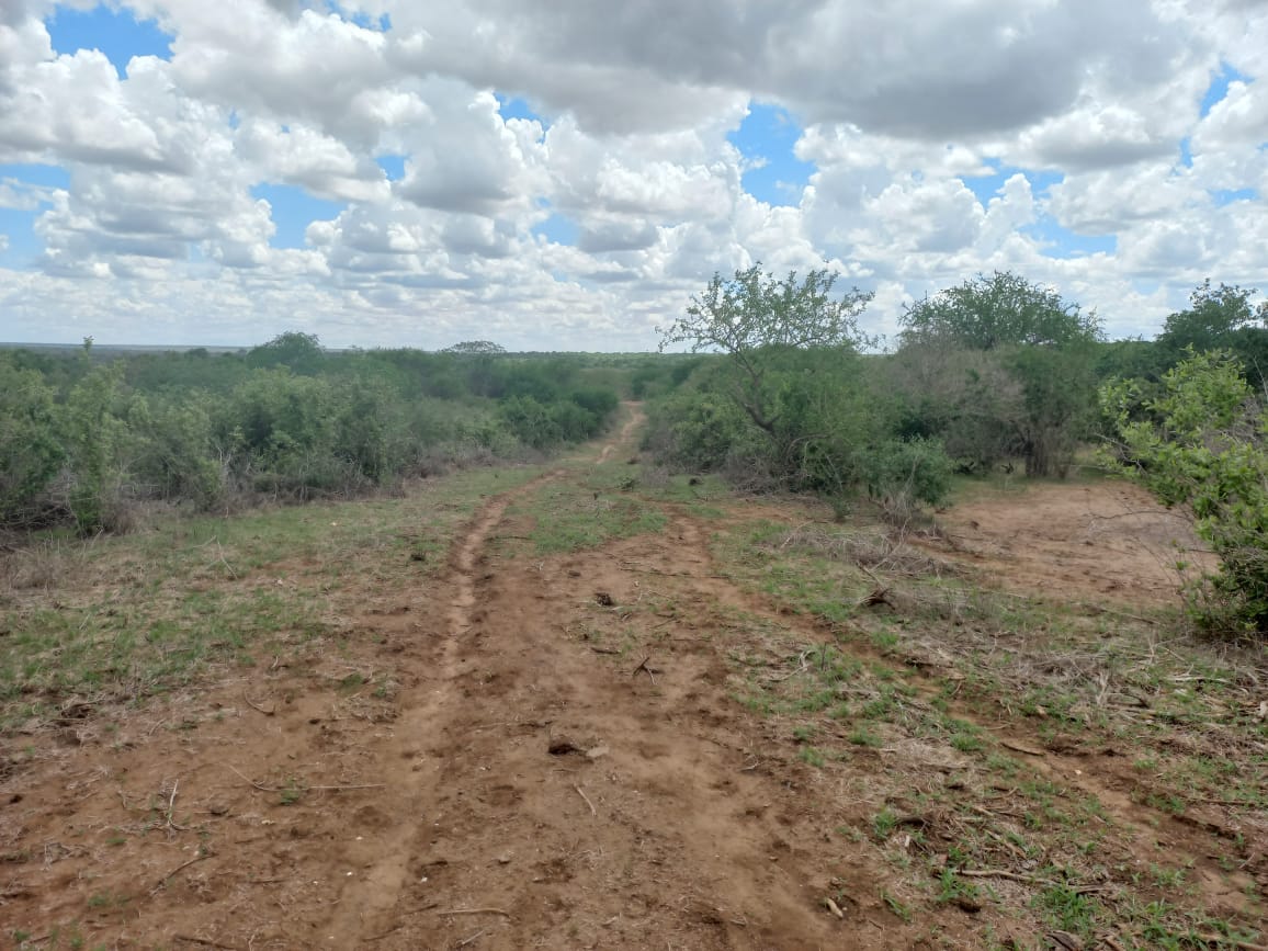 71-acres-agricultural-land-for-sale-in-malindi