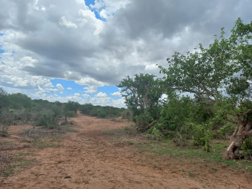 71-acres-agricultural-land-for-sale-in-malindi-vi