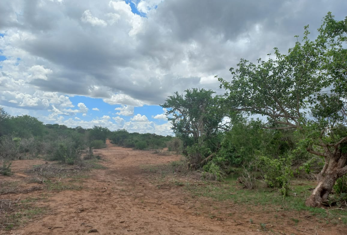 71-acres-agricultural-land-for-sale-in-malindi-vi