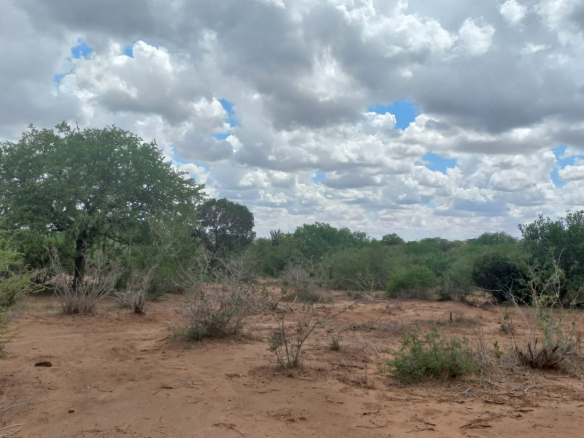 acres-agricultural-land-for-sale-in-malindi