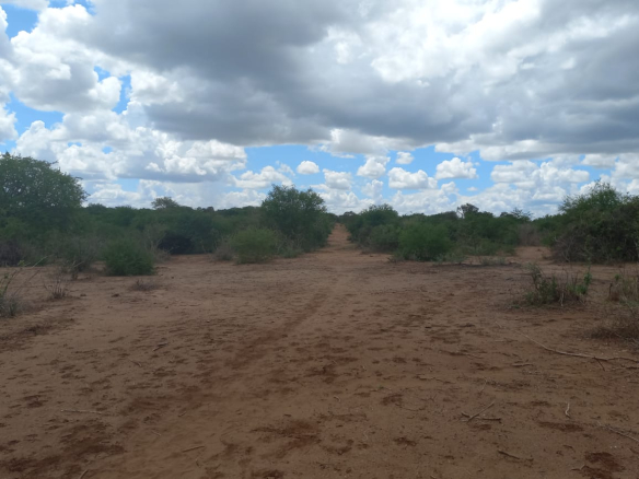 acres-agricultural-land-for-sale-in-malindi-virgin-land