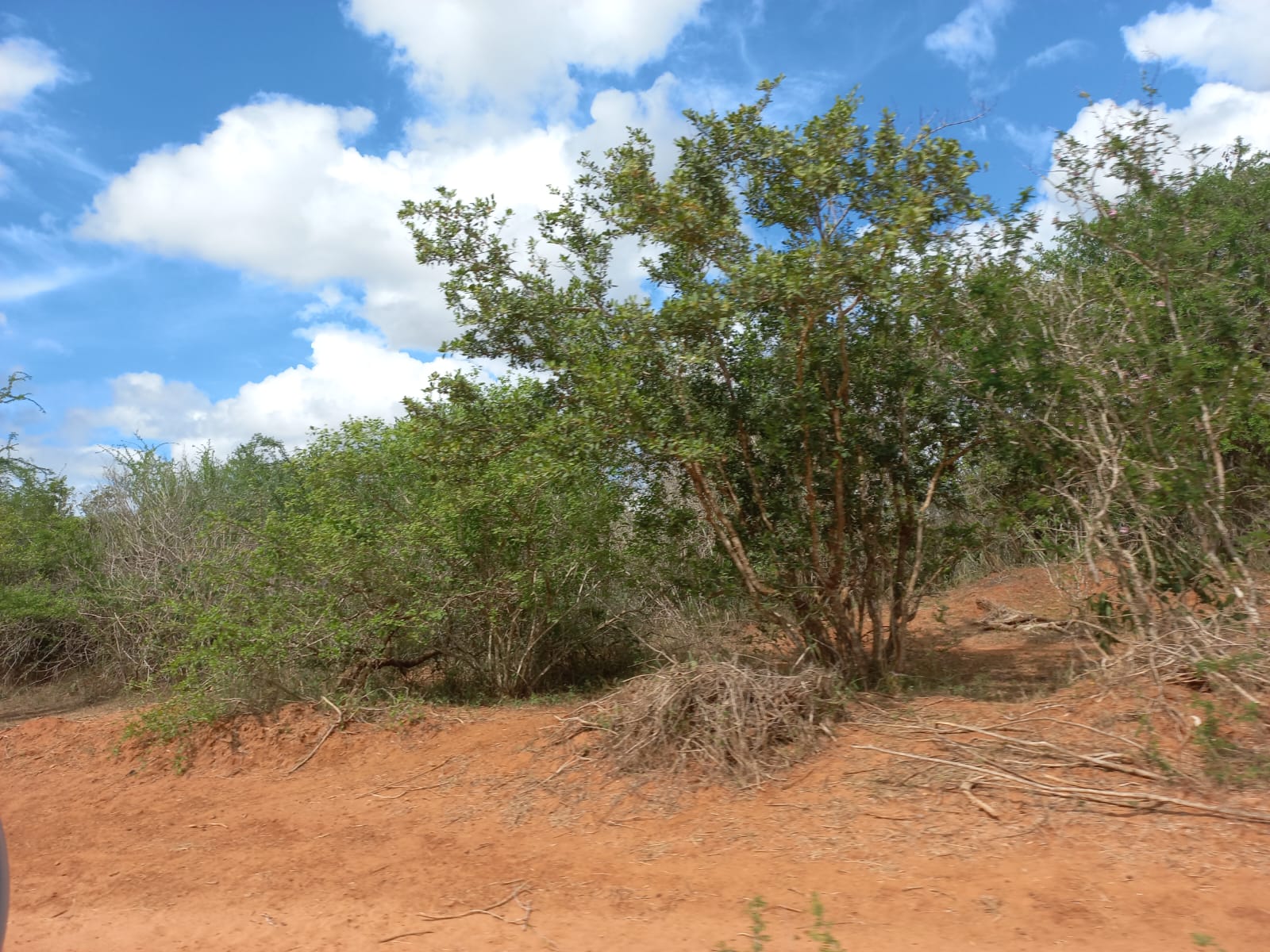 arable-400-acres-for-sale-in-malindi