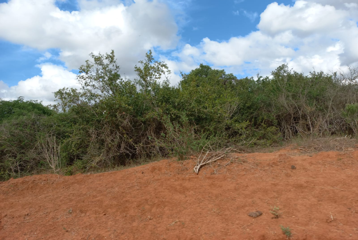 arable-400-acres-for-sale-in-malindi-farm-for-sale