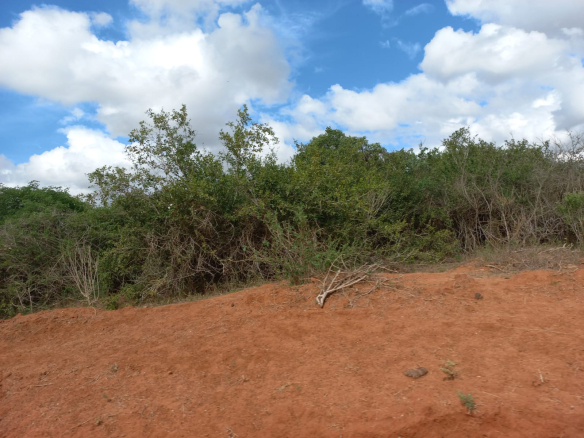 arable-400-acres-for-sale-in-malindi-farm-for-sale