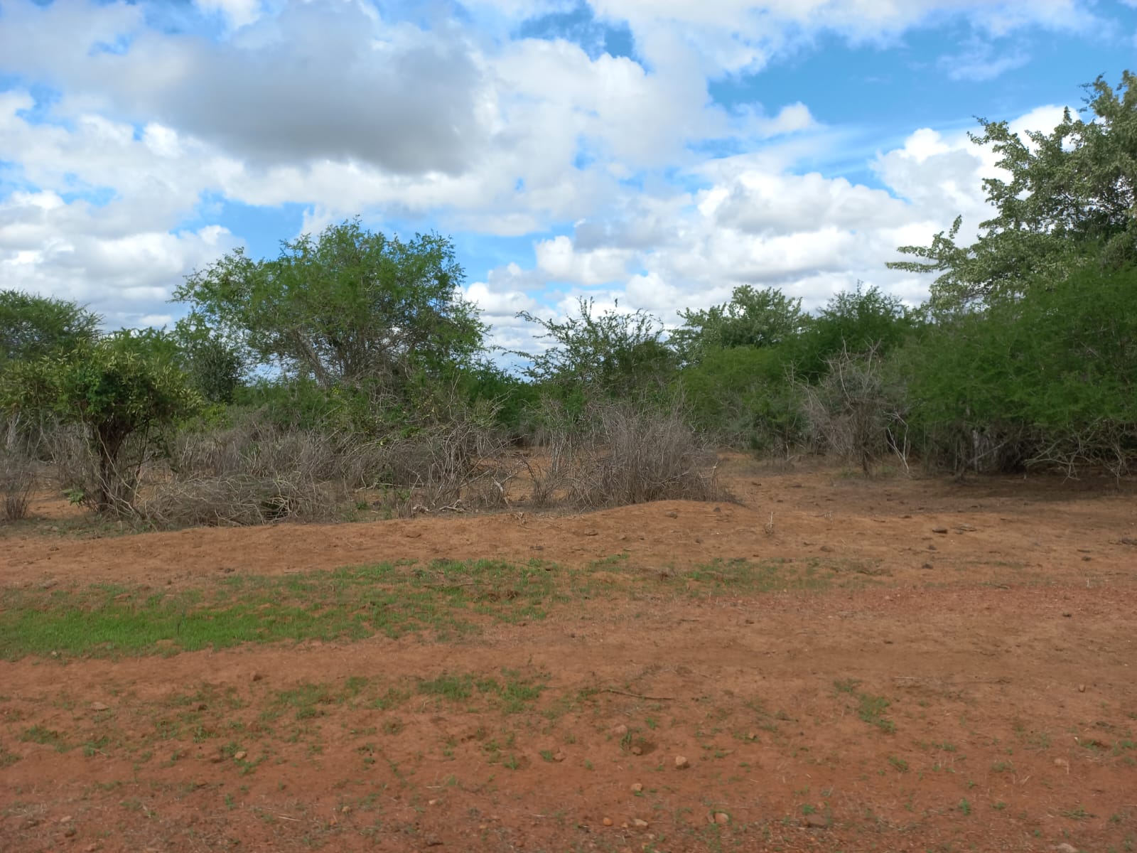 arable-400-acres-for-sale-in-malindi-farms-for-sale-in-kenya