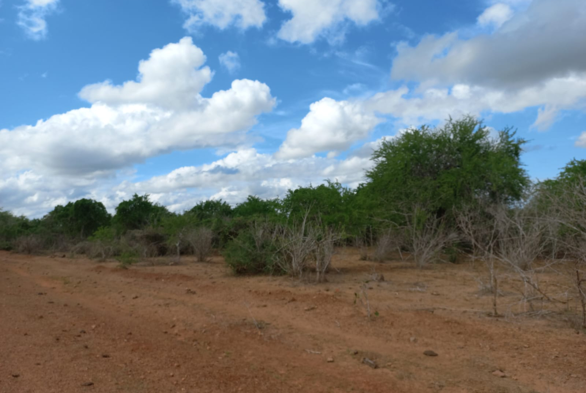 farm-for-sale-arable-400-acres-for-sale-in-malindi