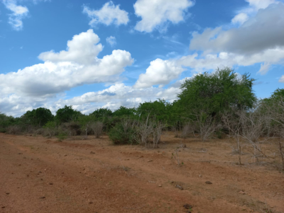 farm-for-sale-arable-400-acres-for-sale-in-malindi