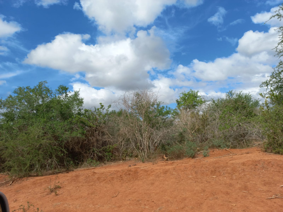 farm-for-sale-along-galana-kulalu-road