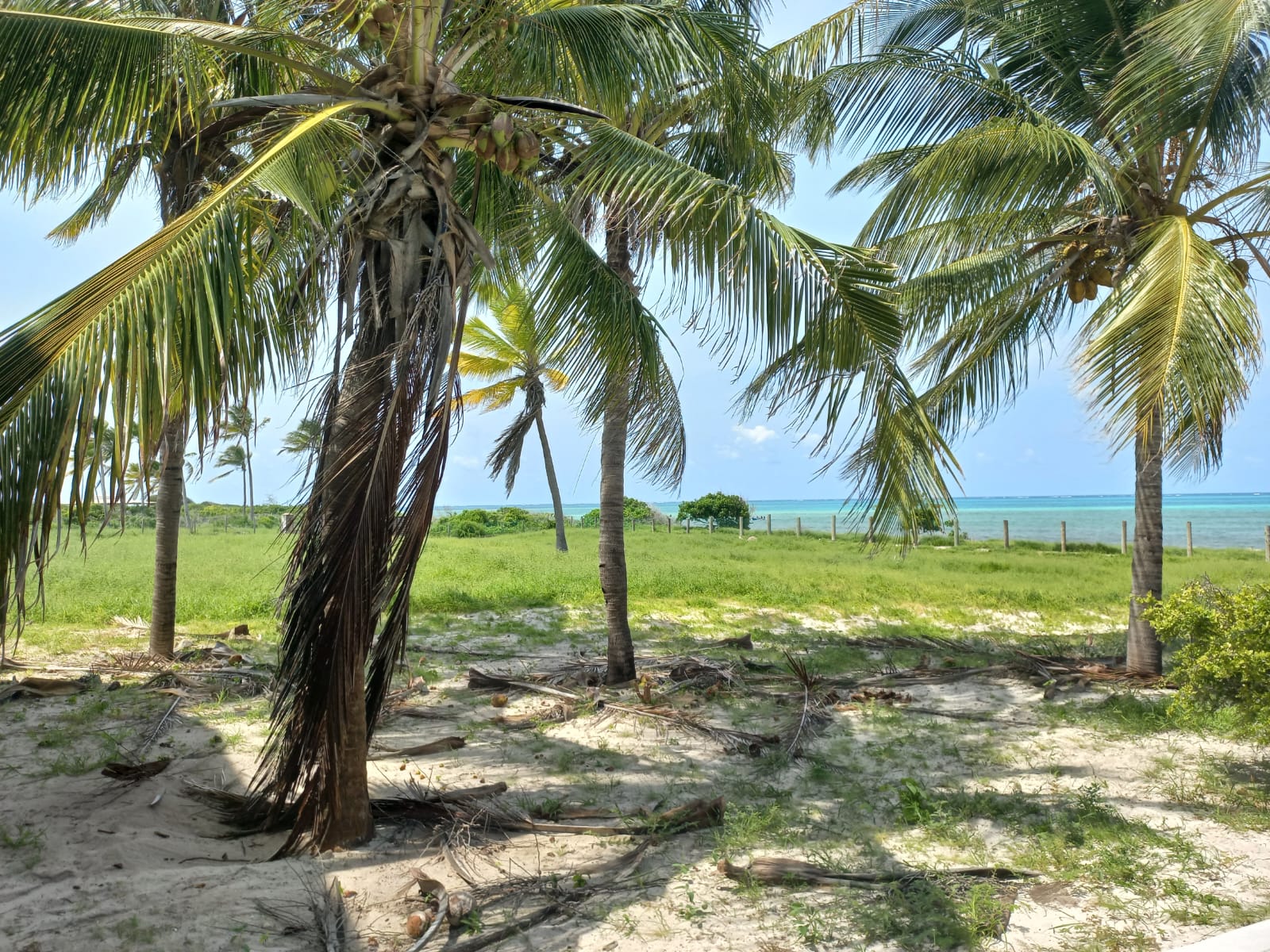 house-and-watamu-10-acres-on-the-beach-for-sale