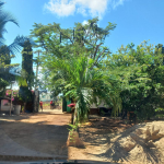 mkaazi-1br-for-rent-casuarina-9