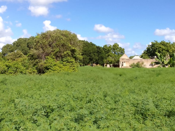 mkaazi-3-acre-kakoneni-market-center-2