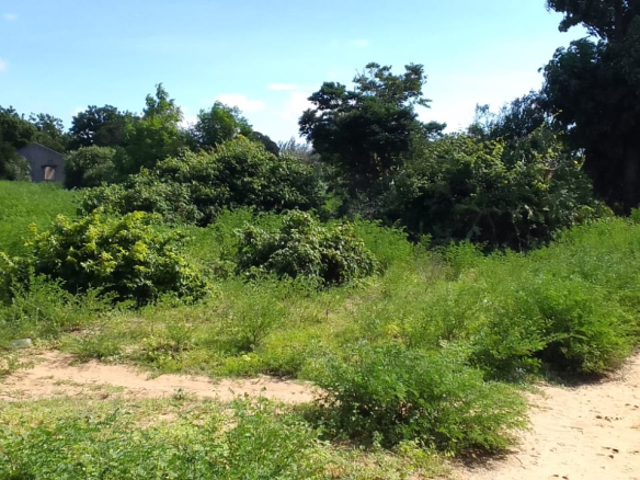 mkaazi-3-acre-kakoneni-market-center-7