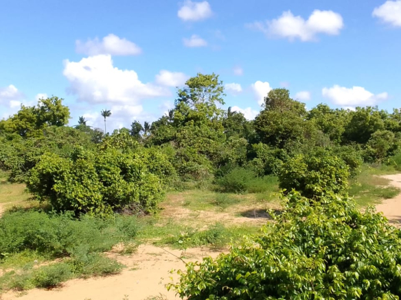 mkaazi-3-acre-kakoneni-market-center-8