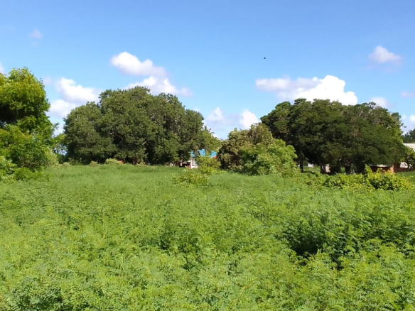 mkaazi-3-acre-kakoneni-market-center-9