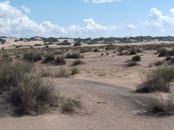 mkaazi-4-acres-beachfront-for-sale-in-karibuni-1