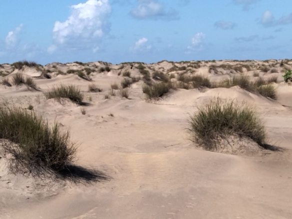 mkaazi-4-acres-beachfront-for-sale-in-karibuni-3