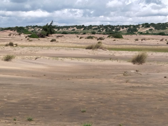 mkaazi-4-acres-beachfront-for-sale-in-karibuni-4