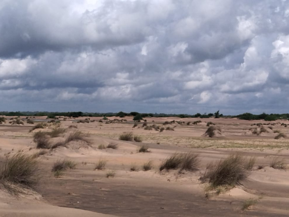 mkaazi-4-acres-beachfront-for-sale-in-karibuni-5