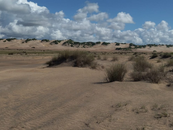 mkaazi-4-acres-beachfront-for-sale-in-karibuni-6