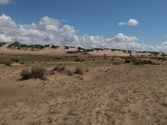 mkaazi-4-acres-beachfront-for-sale-in-karibuni-7