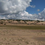 mkaazi-4-acres-beachfront-for-sale-in-karibuni-8