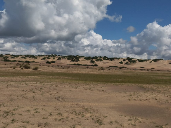 mkaazi-4-acres-beachfront-for-sale-in-karibuni-8