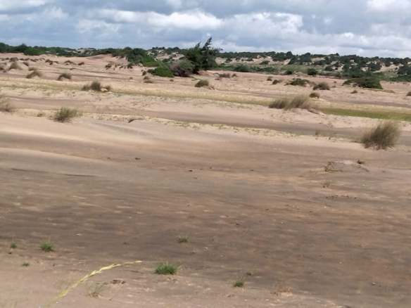mkaazi-4-acres-beachfront-for-sale-in-karibuni-9
