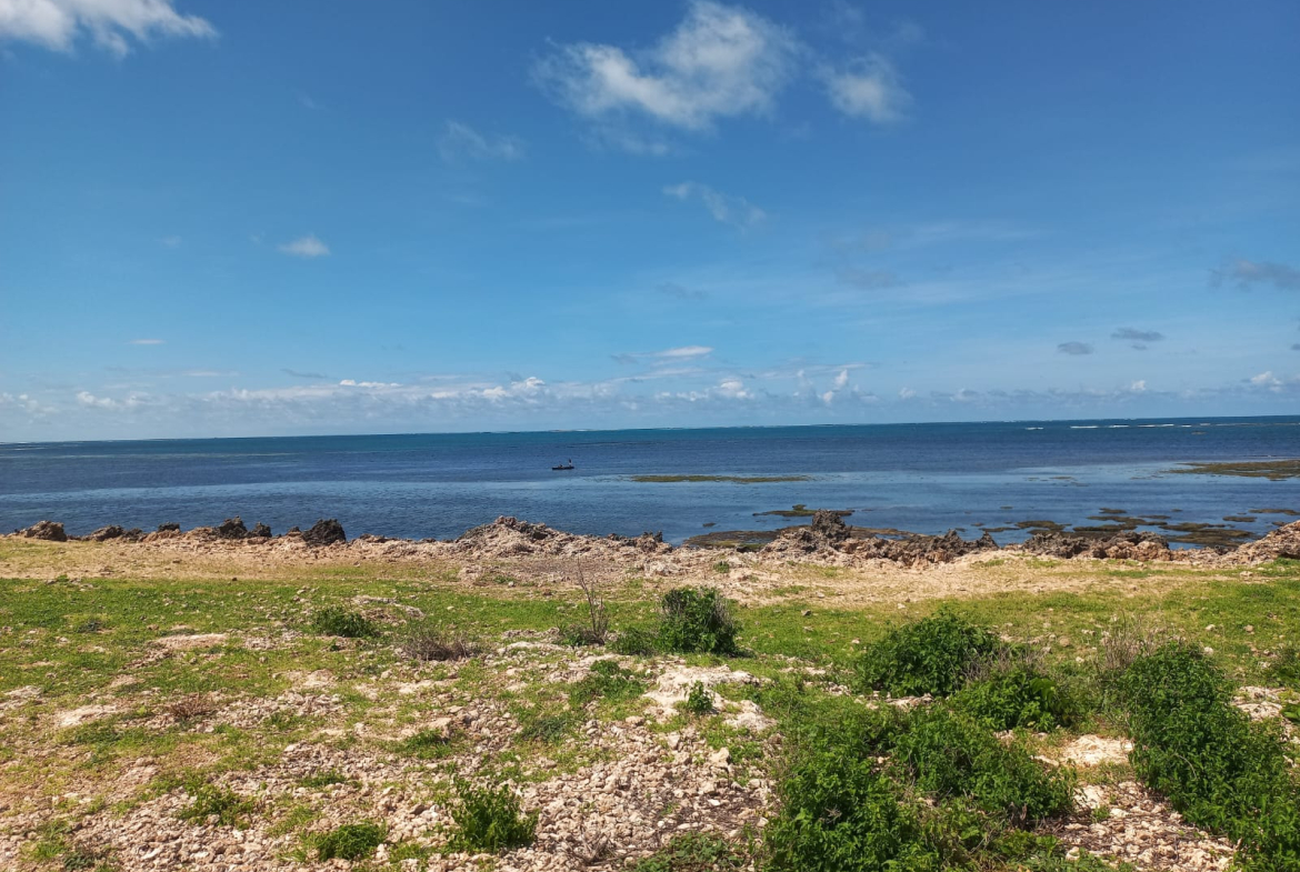 mkaazi-5acres-beachfront-mayungu-25m-1