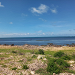 mkaazi-5acres-beachfront-mayungu-25m-1