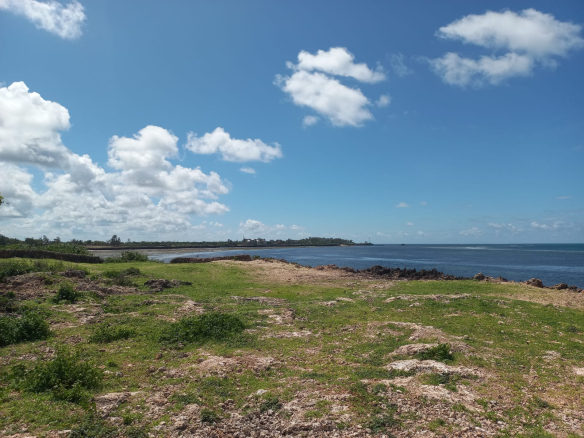 mkaazi-5acres-beachfront-mayungu-25m-2