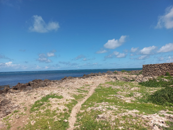 mkaazi-5acres-beachfront-mayungu-25m-5