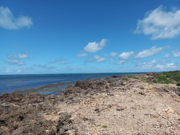 mkaazi-5acres-beachfront-mayungu-25m-6