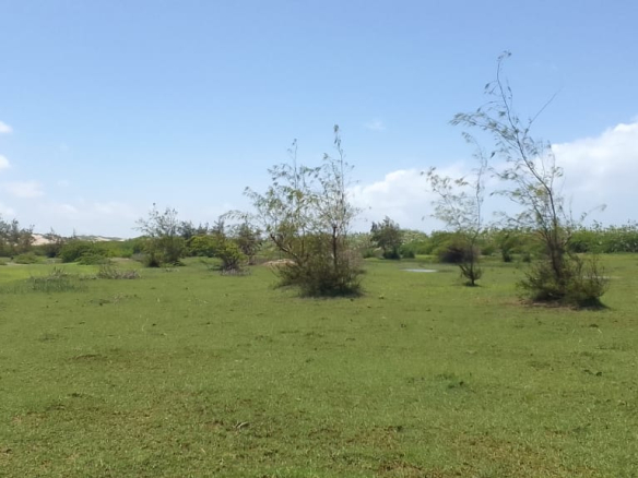 mkaazi-sabaki-river-20-acres-3