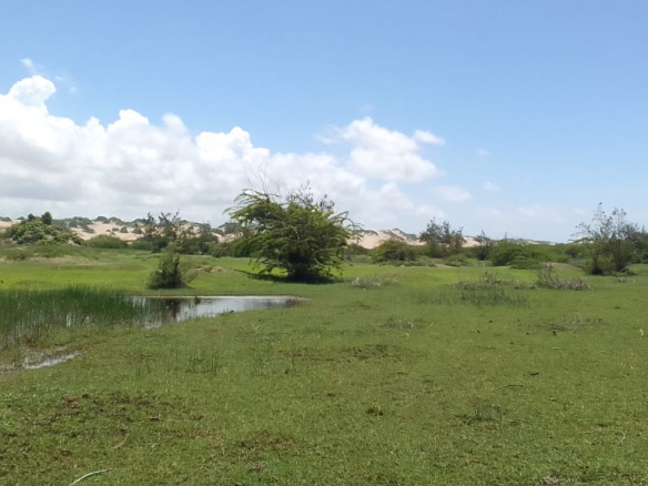 mkaazi-sabaki-river-20-acres-4