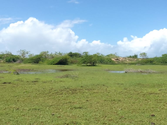 mkaazi-sabaki-river-20-acres-6