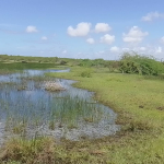 mkaazi-sabaki-river-20-acres-9