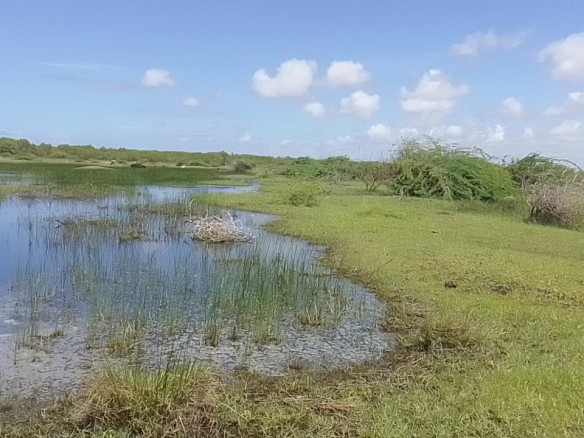 mkaazi-sabaki-river-20-acres-9