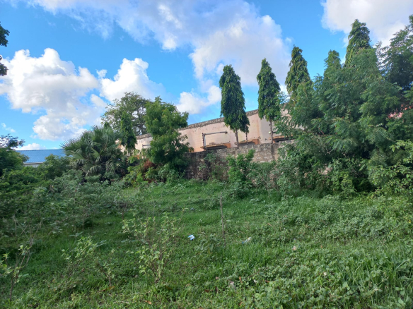 quater-acre-for-sale-in-mtangani-1