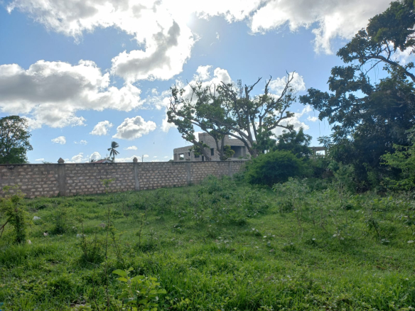quater-acre-for-sale-in-mtangani-3