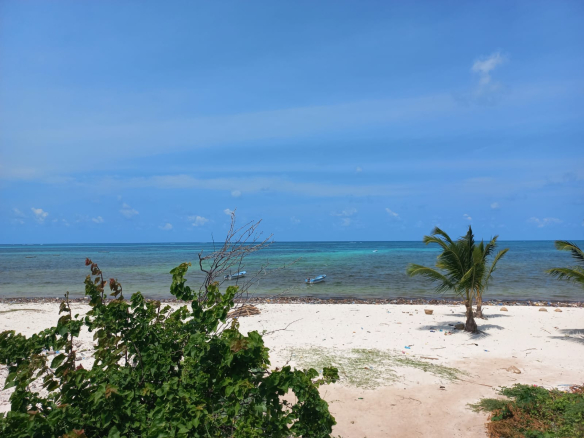 watamu-10-acres-on-the-beach-for-sale