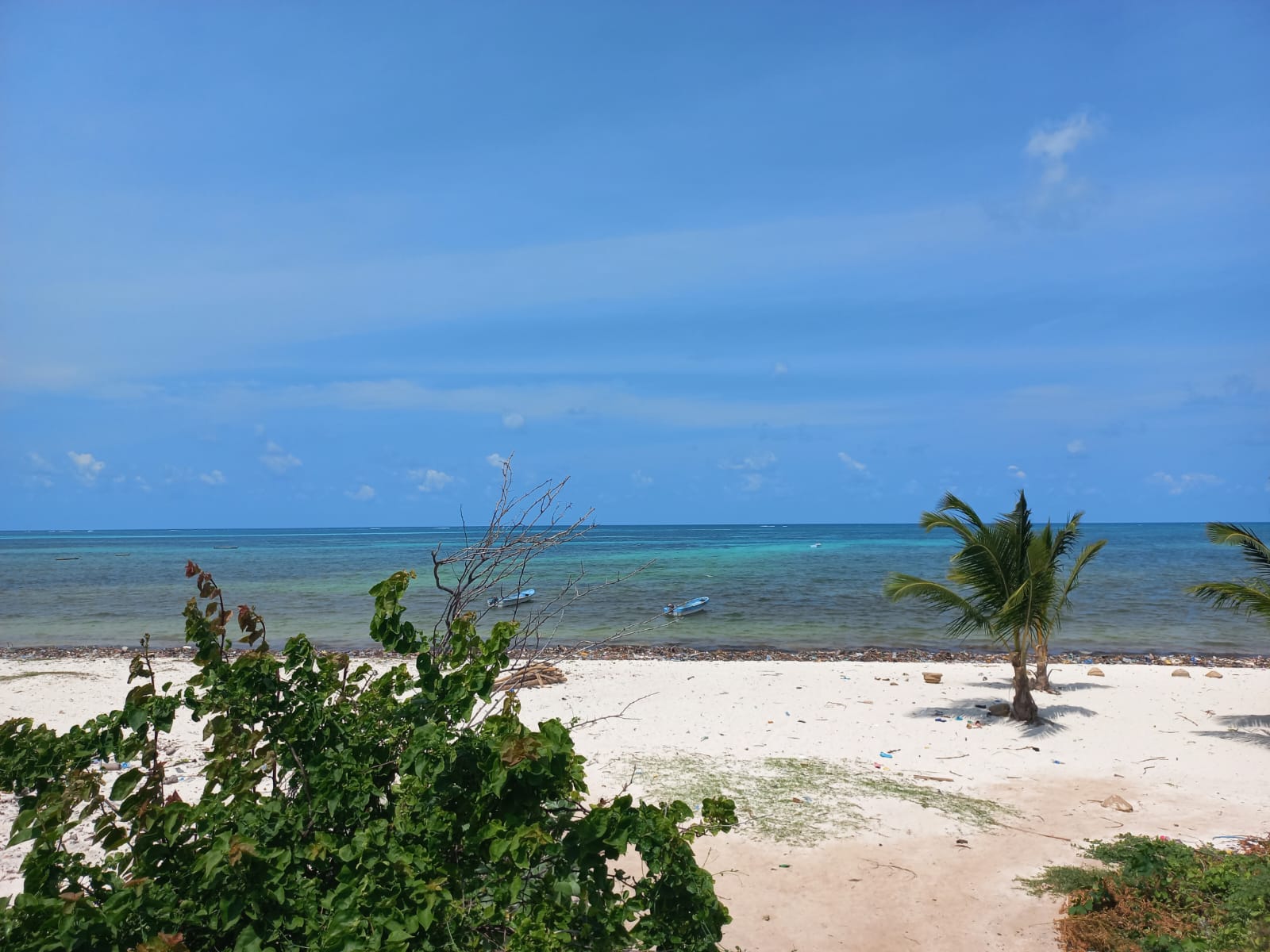 watamu-10-acres-on-the-beach-for-sale