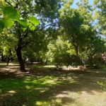 1-acre-for-sale-in-casuarina-15m