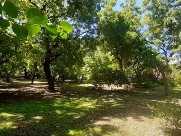 1-acre-for-sale-in-casuarina-15m